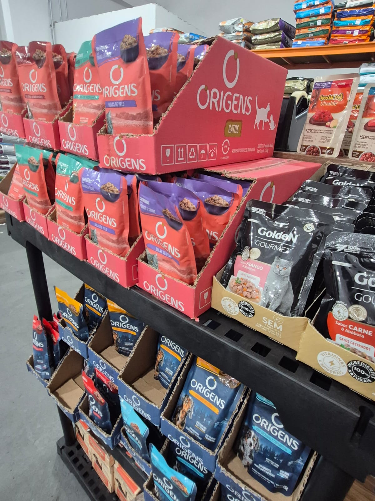 Ambiente acolhedor da PETSMART petshop